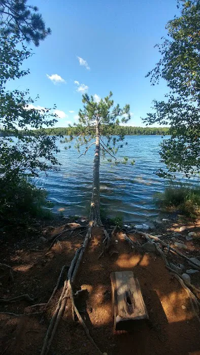 Luna - White Deer Lake Campground Picture 8