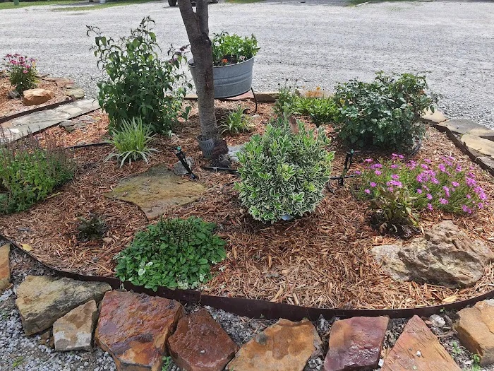 Riverside RV Park Picture 3