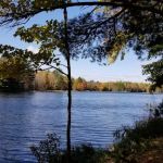 McKinley Lake Campsite