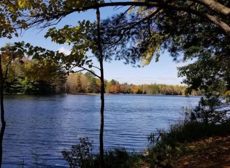 McKinley Lake Campsite