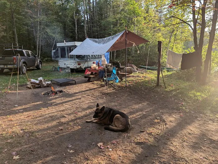 Robinson Lake Campsite Picture 3