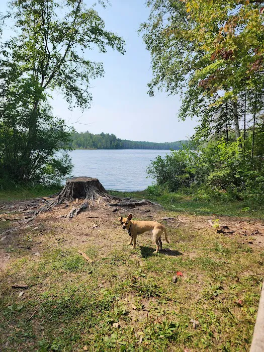 Robinson Lake Campsite Picture 2