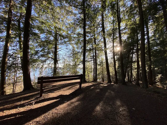Franklin Lake Campground Picture 2