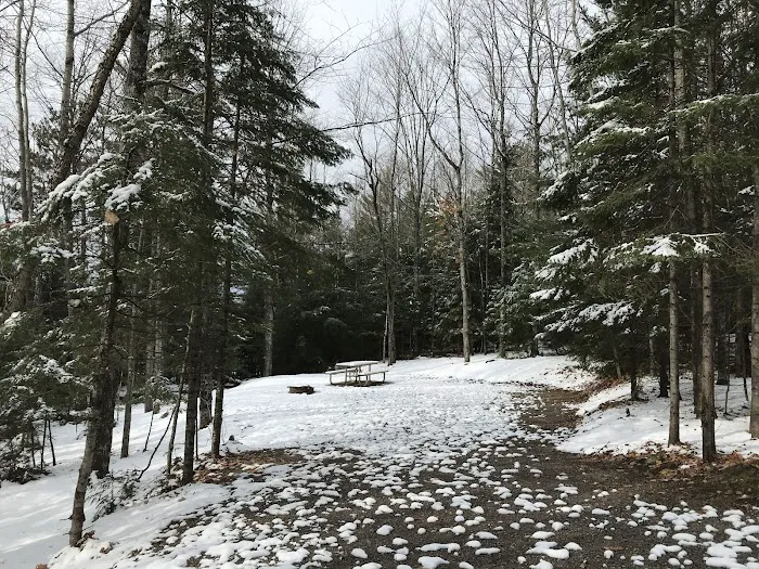 Franklin Lake Campground Picture 8