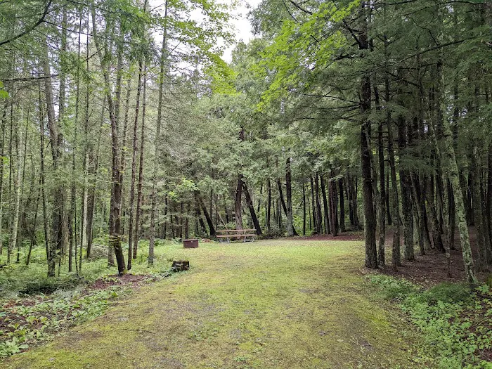 Pine Lake Campground Picture 3