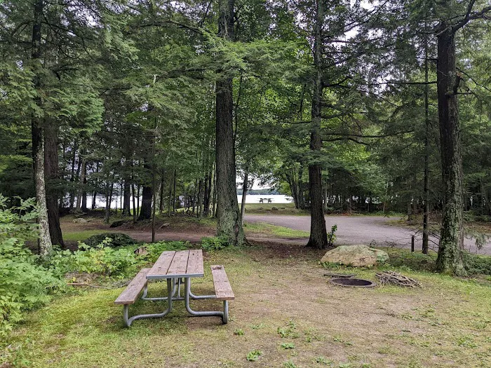 Pine Lake Campground Picture 1