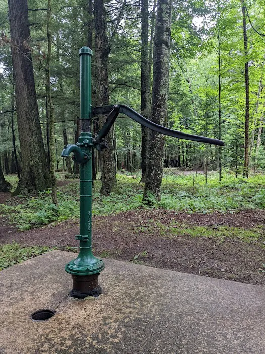Pine Lake Campground Picture 6
