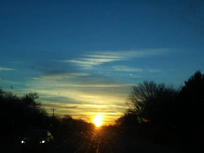 East Texas RV Park Picture 4