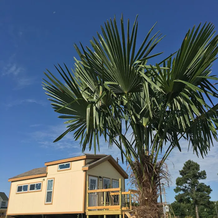 La Bohemia Villas Tiny House Community Picture 3