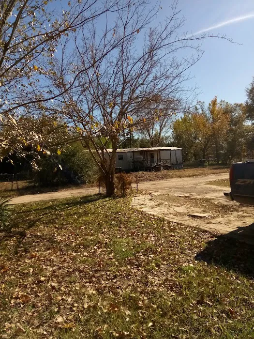 Town & Country Estate Picture 4