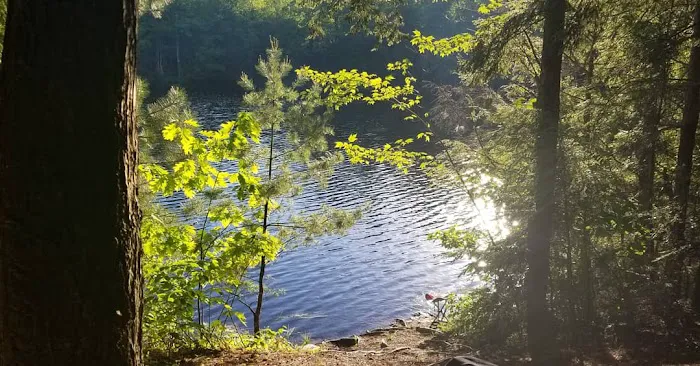 Game Lake Campsite Picture 3