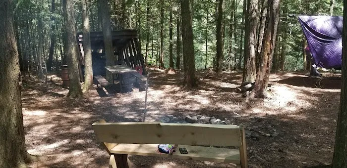 Game Lake Campsite Picture 4