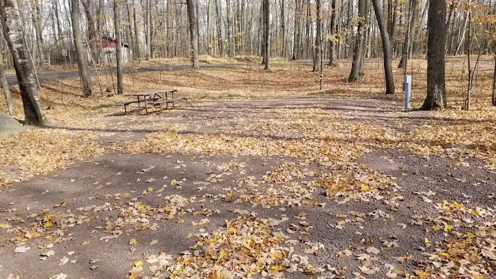 Jack Lake Campground Picture 4