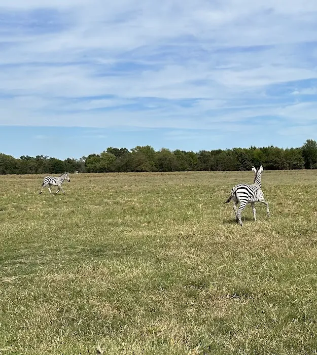 Cross Timbers RV Park Picture 5