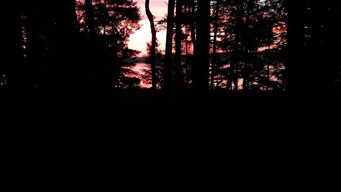 Moen Lake Campground & RV Park Picture 5
