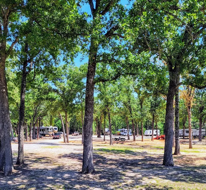 Tranquility In The Trees Retirement RV Park Picture 5