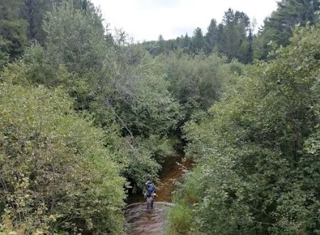 Deerskin River Campsite