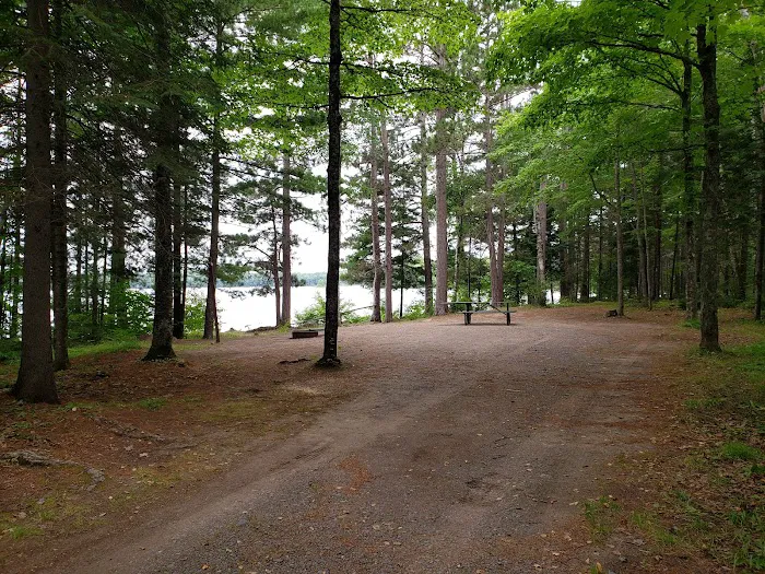 Marion Lake Group Site Picture 2