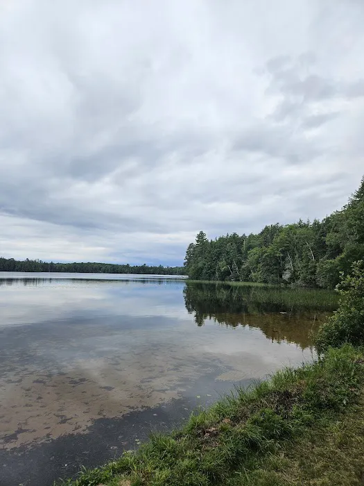 Marion Lake Group Site Picture 1