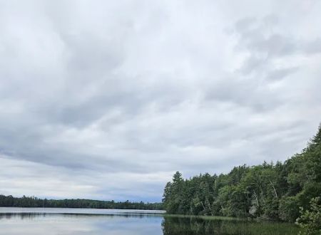 Marion Lake Group Site