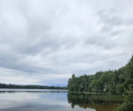 Marion Lake Group Site