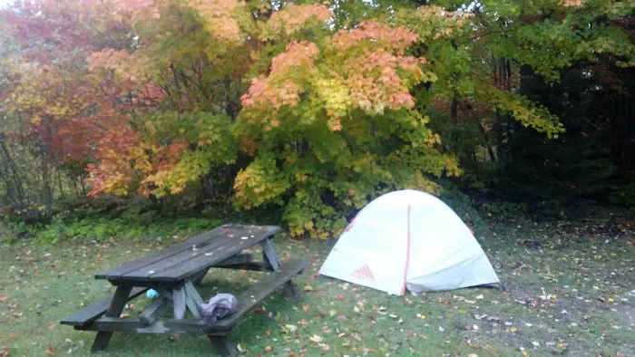 Michigamme Shores Campground Picture 8