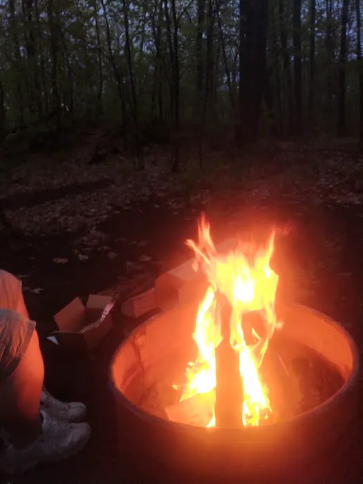 Forestville Campground Picture 5