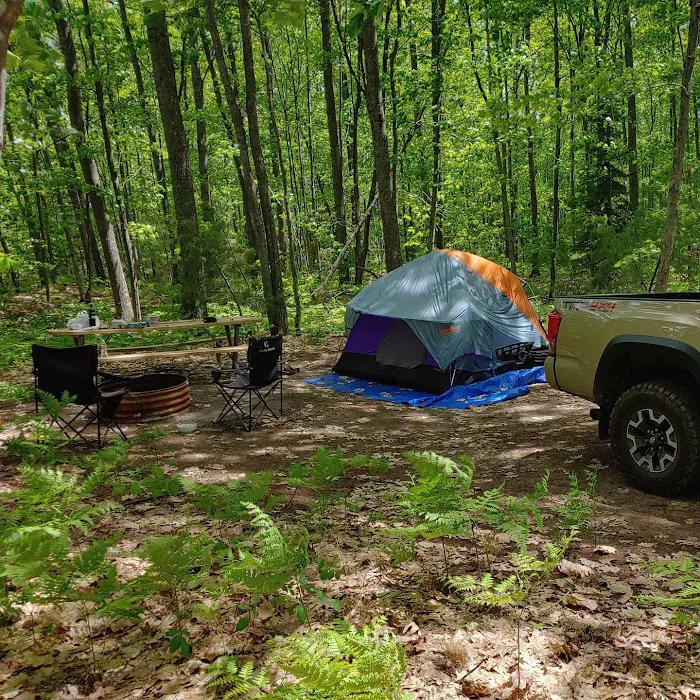 Forestville Campground Picture 6