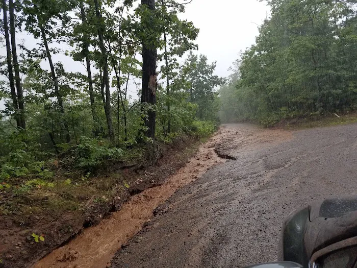Forestville Campground Picture 8