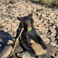 Sturgeon River Campground ico