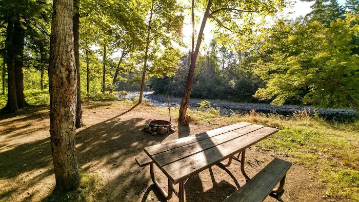 Sturgeon River Campground Picture 3