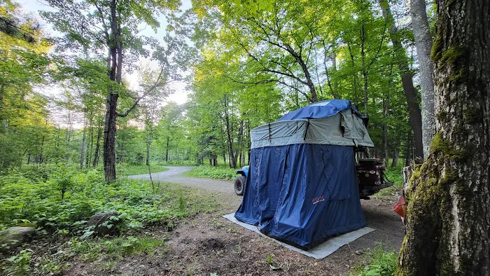 Sturgeon River Campground Picture 5