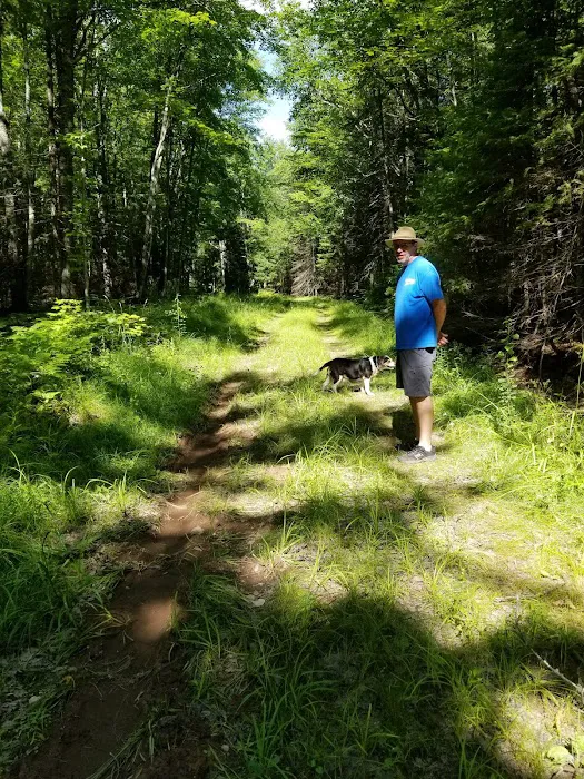 Sturgeon River Campground Picture 6