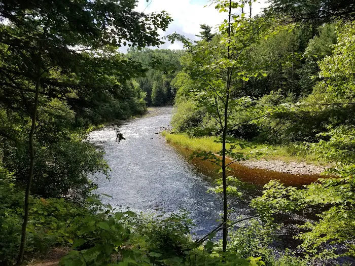 Sturgeon River Campground Picture 7