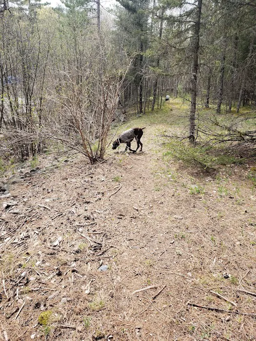 Sturgeon River Campground Picture 9