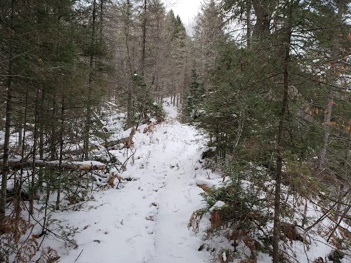Sparrow Rapids Campground Picture 7