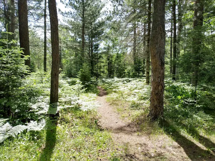 Sparrow Rapids Campground Picture 10