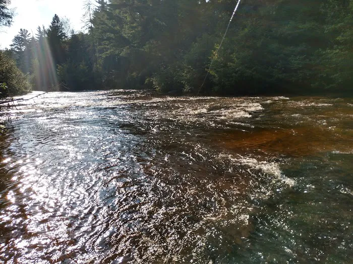 Sparrow Rapids Campground Picture 9