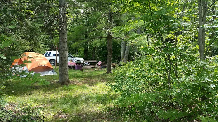 Bob Lake Campground Picture 10