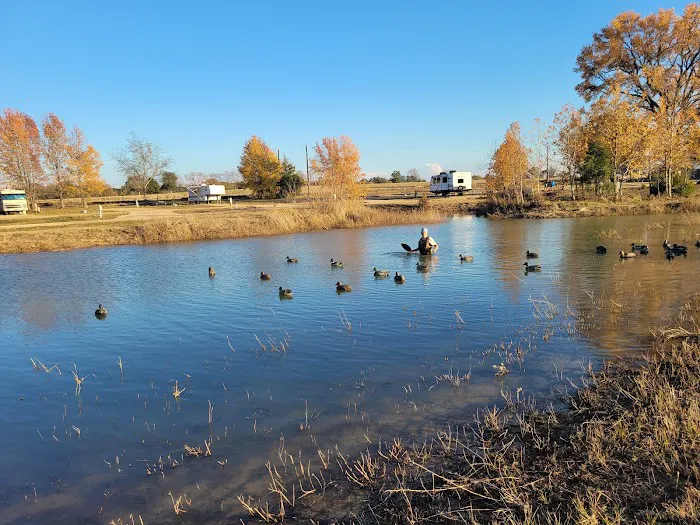 Endurance RV Resort Picture 5