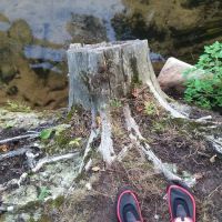 North Shore Campground ico