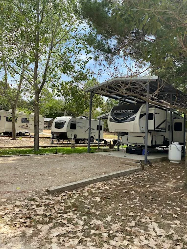 Big Cypress RV Park Picture 6