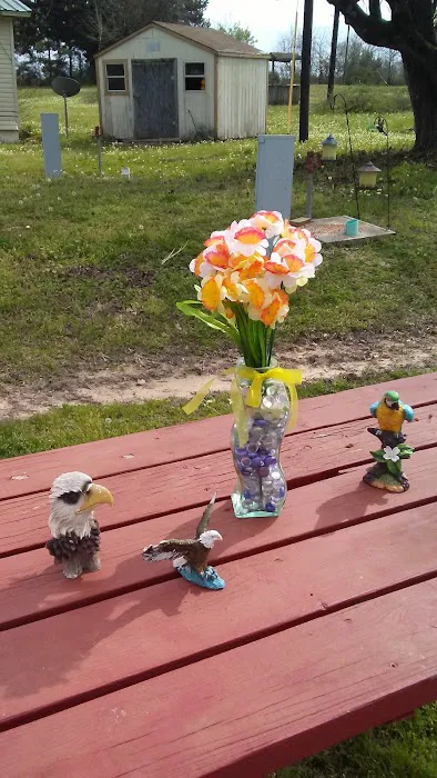 A&M Mobile Home and RV Park Picture 2