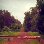 Watersmeet Ranger District