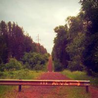 Watersmeet Ranger District ico
