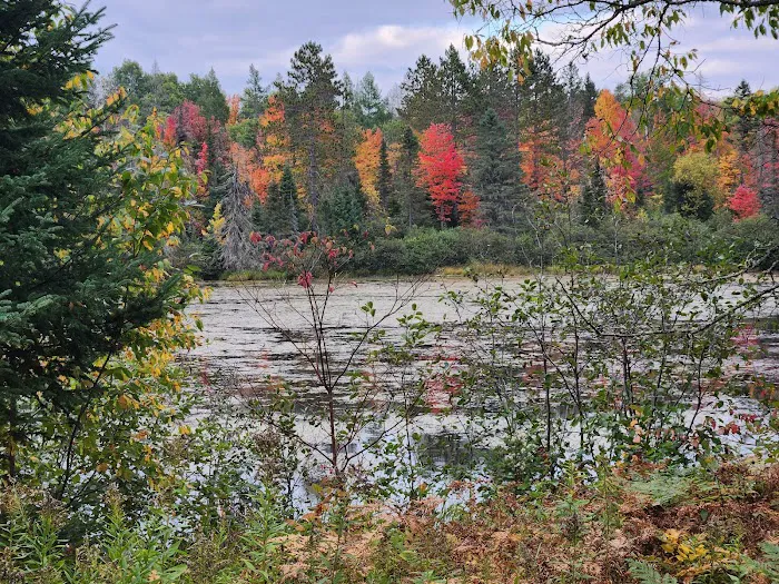 Paulding Pond Campground and Picnic Area Picture 4