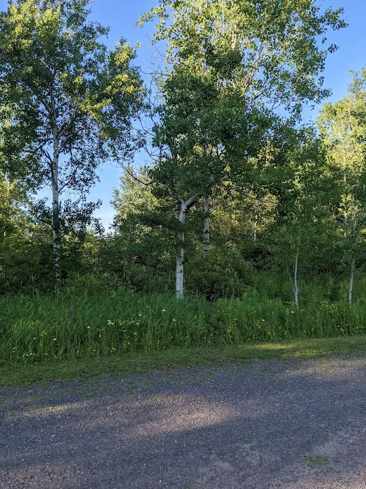 Stannard Township RV Campground Picture 9