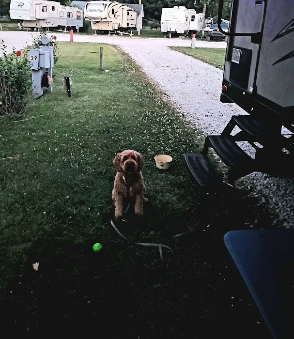 Cozy C RV Campground LLC Picture 9
