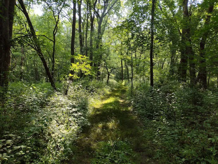 Pine Lake State Park Campground Picture 5