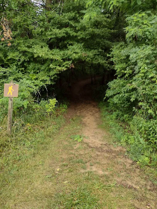 Pine Lake State Park Campground Picture 4